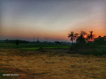  Agricultural Land for Sale in Dhabani, Bankura