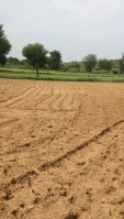  Agricultural Land for Sale in Dahegam, Gandhinagar