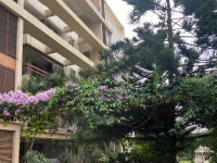 4 BHK Flat for Rent in Jakkur, Bangalore