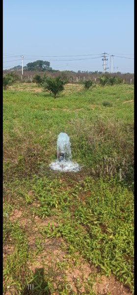  Agricultural Land 13 Acre for Sale in Chityal, Nalgonda