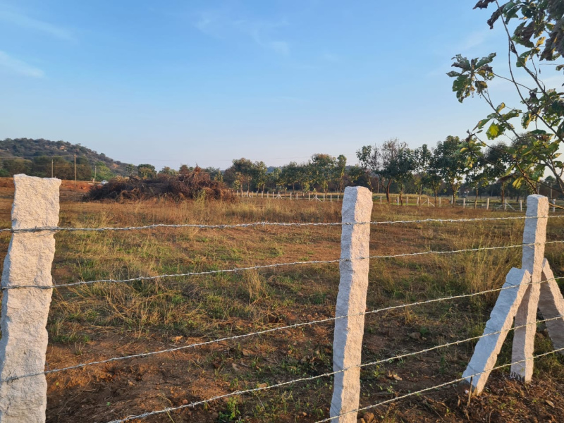 Chityal, Nalgonda photo 4