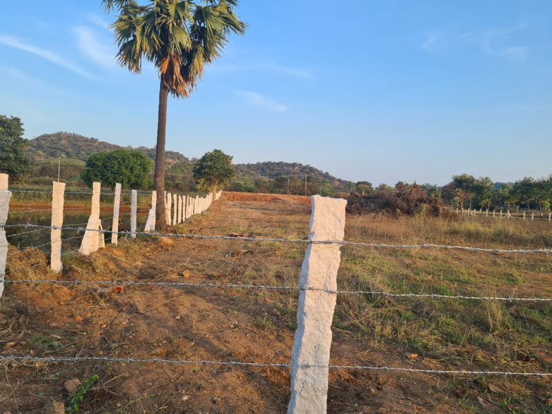 Chityal, Nalgonda photo 5