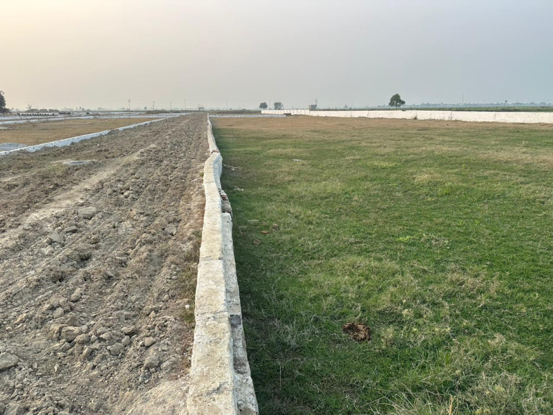  Industrial Land 1000 Sq.ft. for Sale in Saykha Industrial Zone, Bharuch