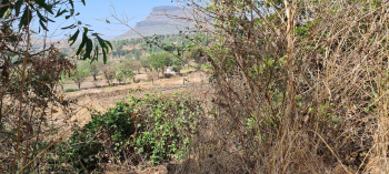 Agricultural Land for Sale in Ghoti Budruk, Nashik