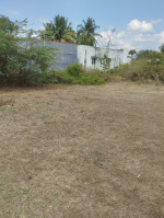  Agricultural Land for Sale in Sanarpatti, Dindigul