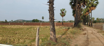  Agricultural Land for Sale in Vijayawada Highway, Hyderabad