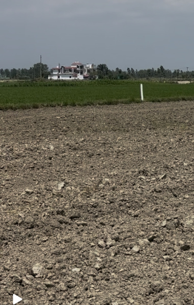 Kashipur, Udham Singh Nagar photo 3
