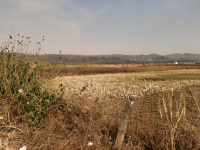  Industrial Land for Sale in Uran, Navi Mumbai
