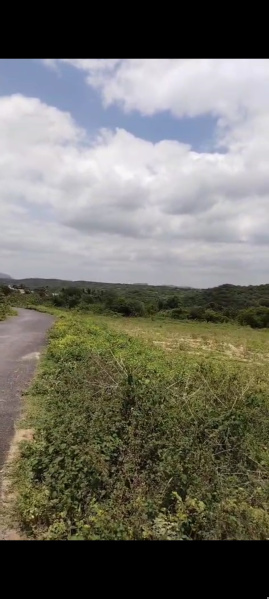  Agricultural Land 5 Acre for Sale in Chennathur, Hosur