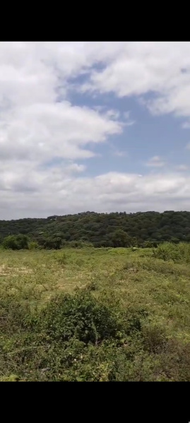  Agricultural Land 5 Acre for Sale in Chennathur, Hosur
