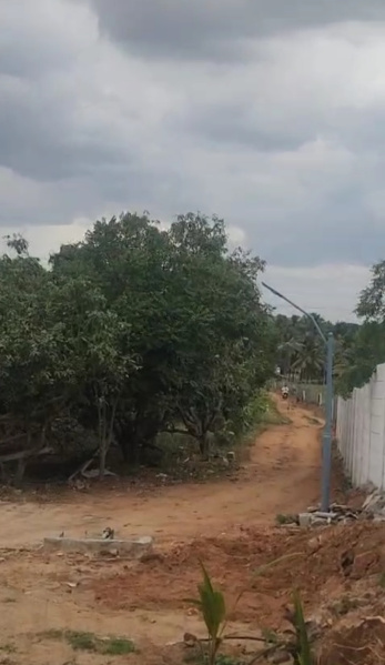  Guest House 2 Acre for Sale in Shoolagiri, Hosur