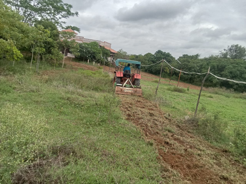  Agricultural Land 3 Acre for Sale in Shoolagiri, Hosur