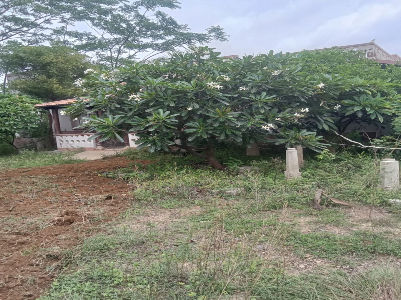  Agricultural Land 3 Acre for Sale in Shoolagiri, Hosur