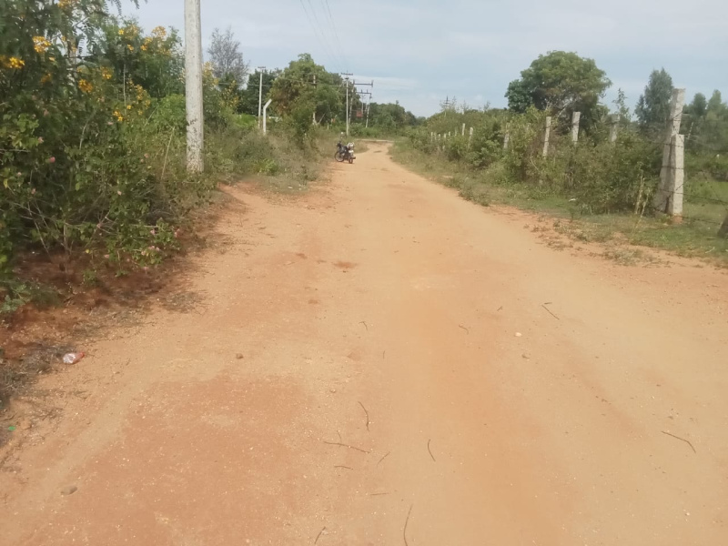  Agricultural Land 3 Acre for Sale in Shoolagiri, Hosur