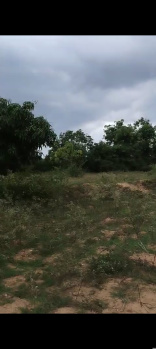  Agricultural Land for Sale in Shoolagiri, Hosur