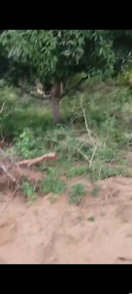  Agricultural Land 1 Acre for Sale in Shoolagiri, Hosur