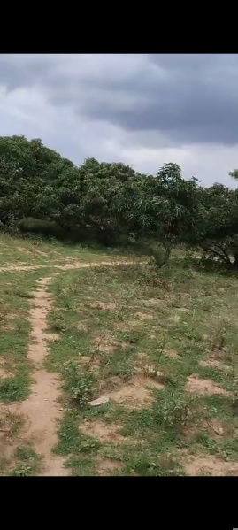  Agricultural Land 1 Acre for Sale in Shoolagiri, Hosur
