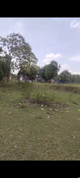  Agricultural Land 14 Acre for Sale in Bynapalli, Krishnagiri