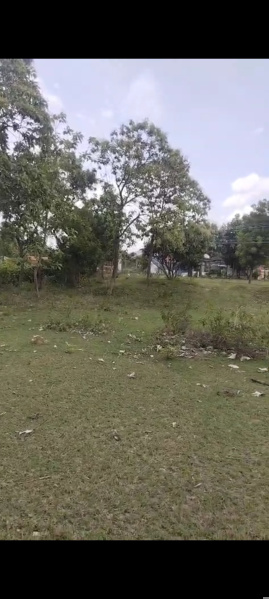  Agricultural Land 14 Acre for Sale in Bynapalli, Krishnagiri