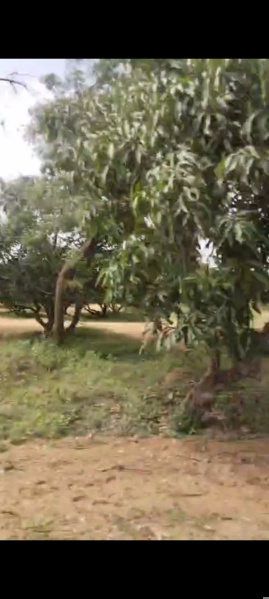  Agricultural Land 45 Acre for Sale in Veppanapalli, Krishnagiri