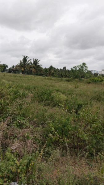  Commercial Land 5 Acre for Sale in Shoolagiri, Krishnagiri