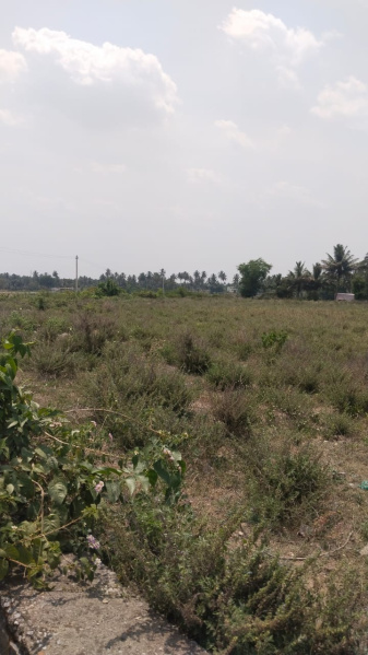  6 Acre Industrial Land for Sale in Hosur Taluk, Krishnagiri
