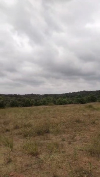 Agricultural Land for Sale in Hosur Taluk, Krishnagiri