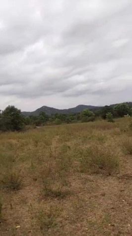 Agricultural Land 30 Acre for Sale in Hosur Taluk, Krishnagiri