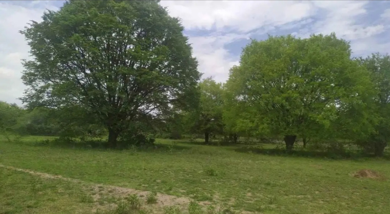  Agricultural Land 160 Acre for Sale in Marandahalli, Dharmapuri