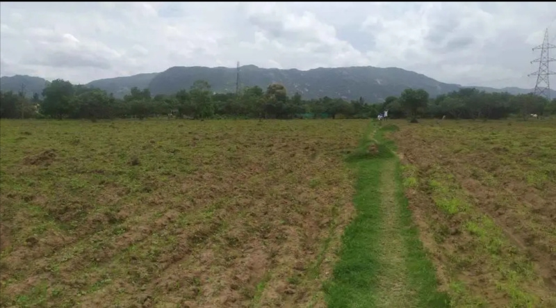  Agricultural Land 160 Acre for Sale in Marandahalli, Dharmapuri