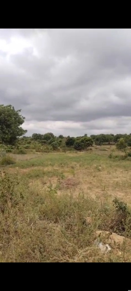  Agricultural Land 3 Acre for Sale in Shoolagiri, Hosur