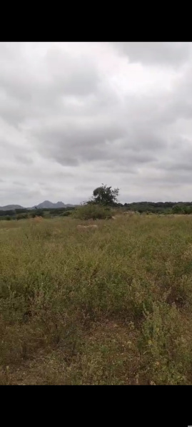 Agricultural Land 3 Acre for Sale in Shoolagiri, Hosur
