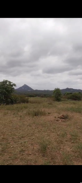  Agricultural Land 3 Acre for Sale in Shoolagiri, Hosur