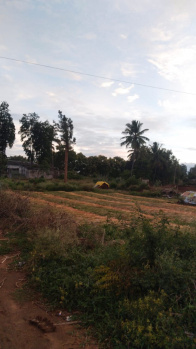  Warehouse for Sale in Addakurukki, Hosur
