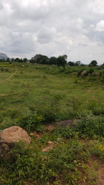 2 Acre Agricultural/Farm Land for Sale in Shoolagiri, Hosur