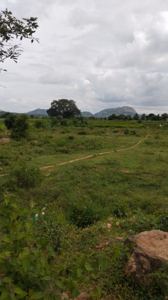 2 Acre Agricultural/Farm Land for Sale in Shoolagiri, Hosur
