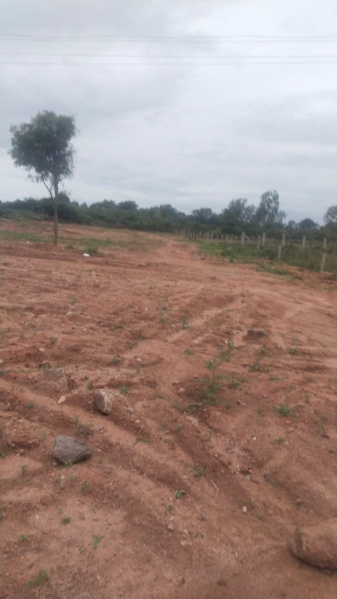 1 Acre Agricultural/Farm Land for Sale in Achettipalli, Hosur