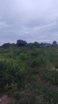 Agricultural Land for Sale in Shoolagiri, Hosur