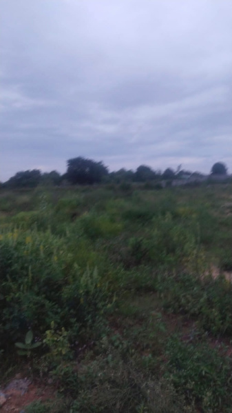 1 Acre Agricultural/Farm Land for Sale in Shoolagiri, Hosur
