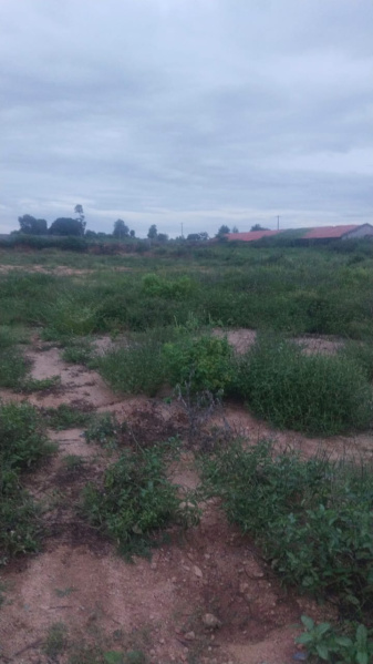 1 Acre Agricultural/Farm Land for Sale in Shoolagiri, Hosur