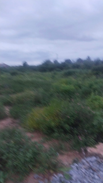 1 Acre Agricultural/Farm Land for Sale in Shoolagiri, Hosur