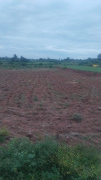 95 Cent Agricultural/Farm Land for Sale in Shoolagiri, Hosur