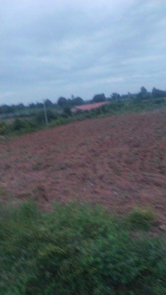 95 Cent Agricultural/Farm Land for Sale in Shoolagiri, Hosur