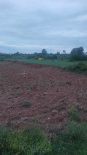 95 Cent Agricultural/Farm Land for Sale in Shoolagiri, Hosur