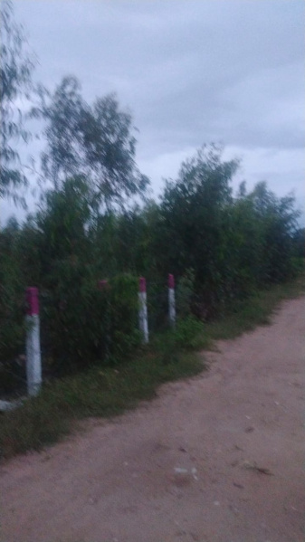 95 Cent Agricultural/Farm Land for Sale in Shoolagiri, Hosur