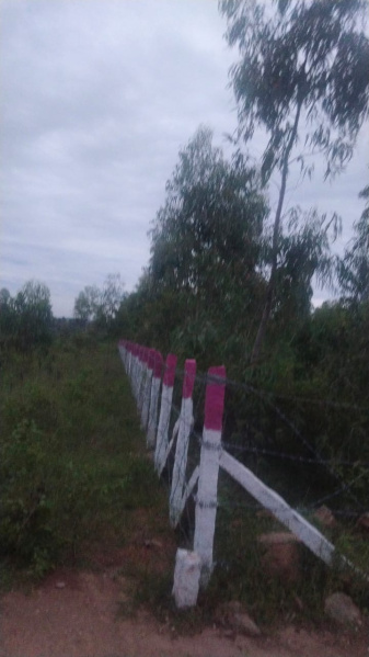 95 Cent Agricultural/Farm Land for Sale in Shoolagiri, Hosur