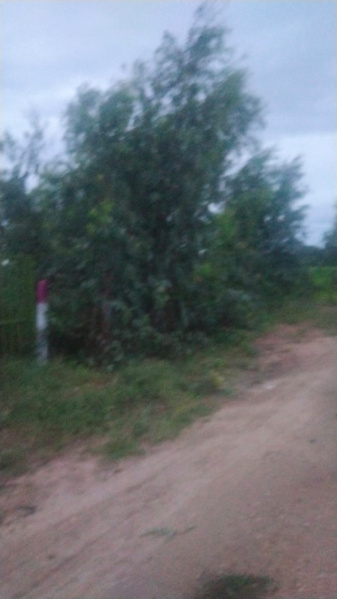 95 Cent Agricultural/Farm Land for Sale in Shoolagiri, Hosur