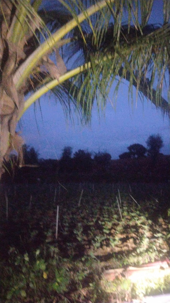  4 Acre Agricultural/Farm Land for Sale in Begapalli, Hosur