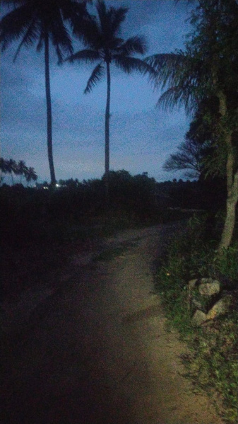  4 Acre Agricultural/Farm Land for Sale in Begapalli, Hosur