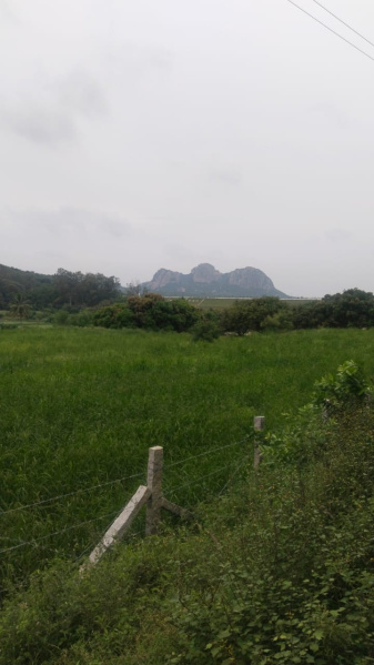  4 Acre Agricultural/Farm Land for Sale in Shoolagiri, Hosur